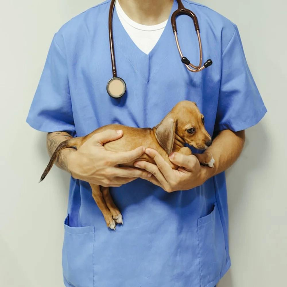 Work Where Care Comes First