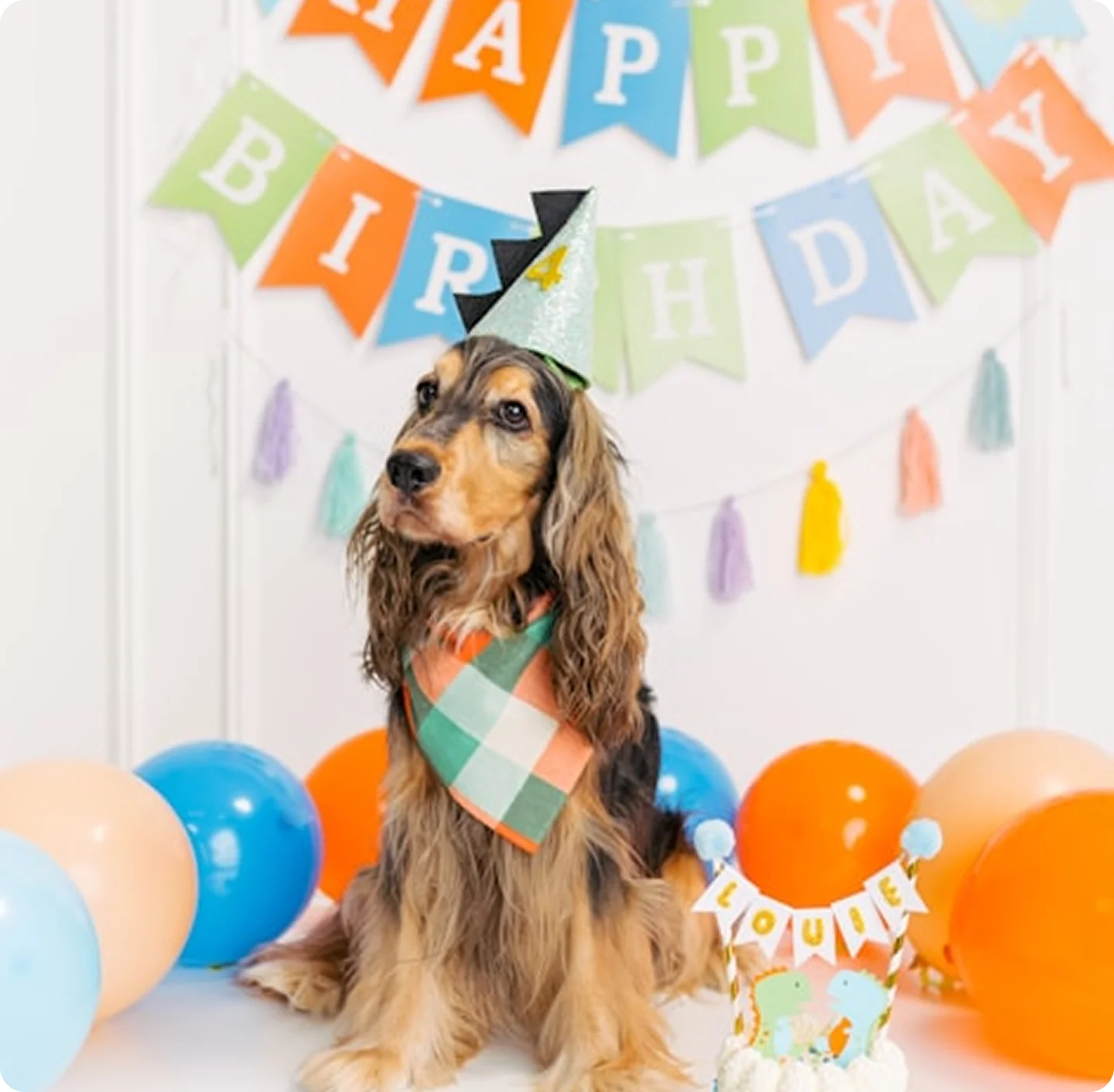 Indoor events (celebrations)