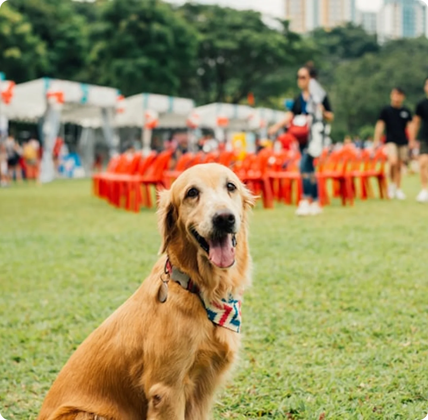 Outdoor events
