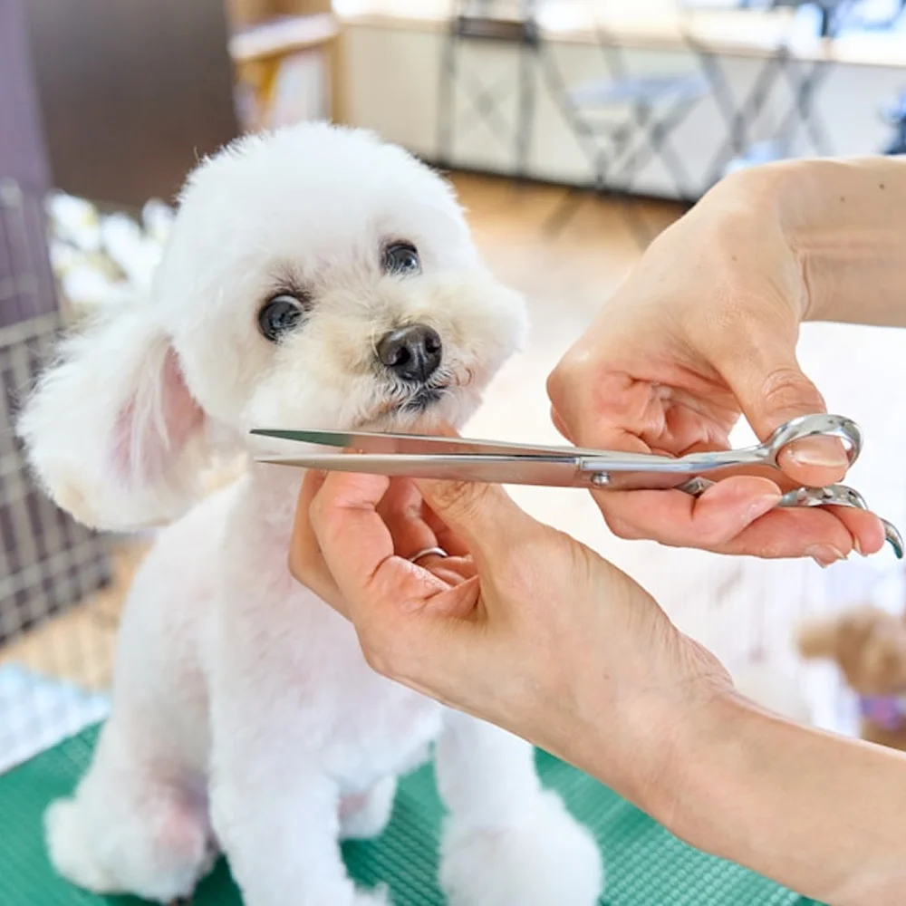 Grooming Services